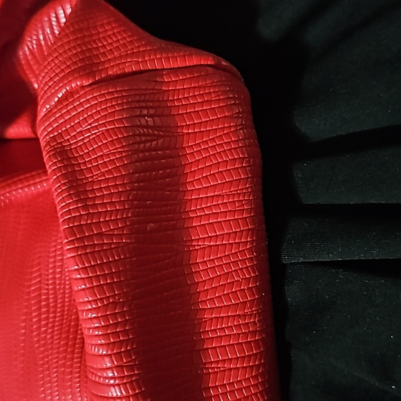 🙋♀️Red spur back pack🙋♀️ - Picture 3 of 3